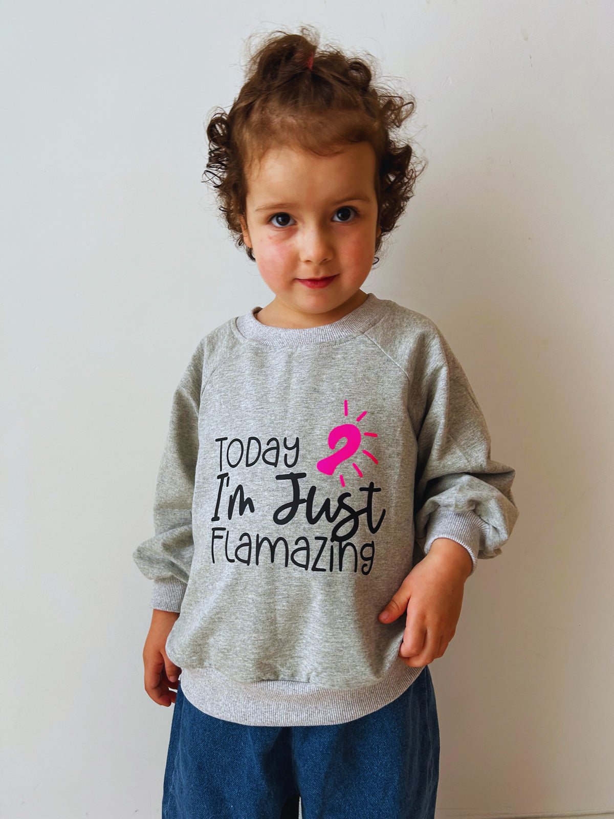 Flamazing Sweatshirt - Grey