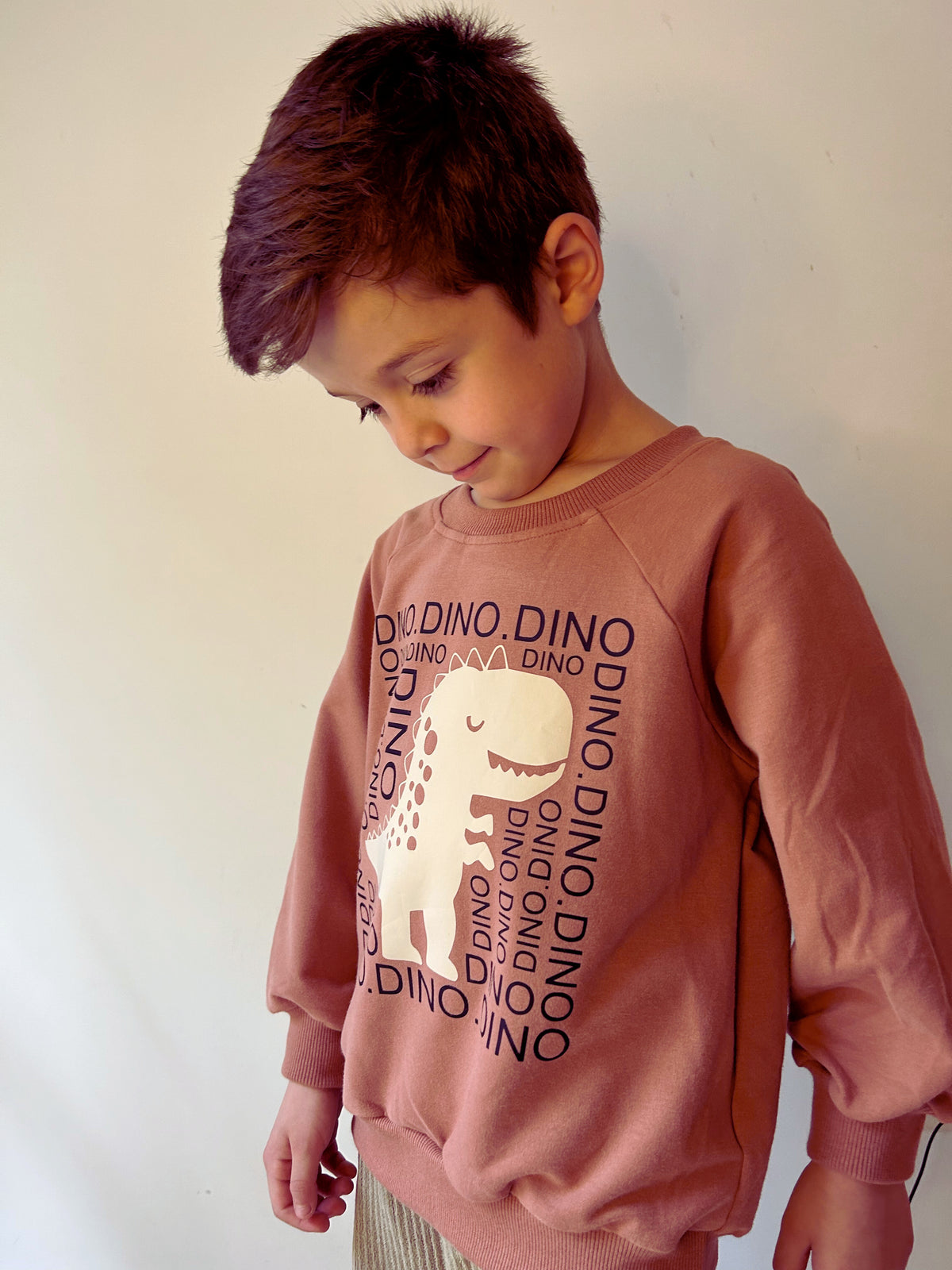 Dino Sweatshirt - Coral