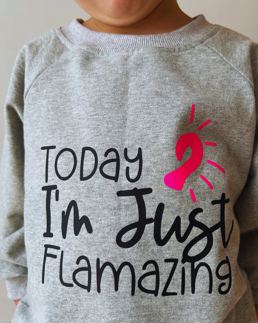 Flamazing Sweatshirt - Grey